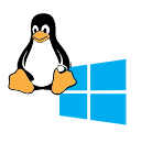 Bare-metal-server-linux-windows