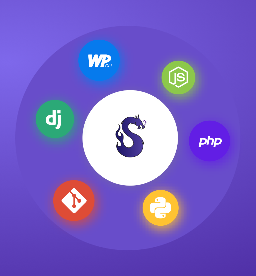 managed-vps-hosting-developer